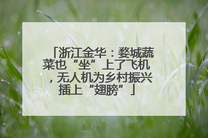 浙江金华：婺城蔬菜也“坐”上了飞机，无人机为乡村振兴插上“翅膀”