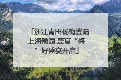 浙江青田杨梅登陆上海豫园 盛夏“梅”好盛宴开启
