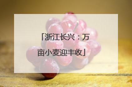 浙江长兴：万亩小麦迎丰收