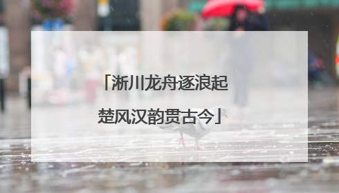 淅川龙舟逐浪起 楚风汉韵贯古今