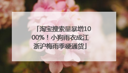 淘宝搜索量暴增1000%！小狗雨衣成江浙沪梅雨季硬通货