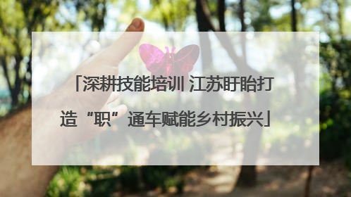 深耕技能培训 江苏盱眙打造“职”通车赋能乡村振兴