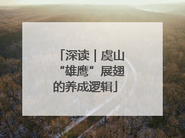深读｜虞山“雄鹰”展翅的养成逻辑