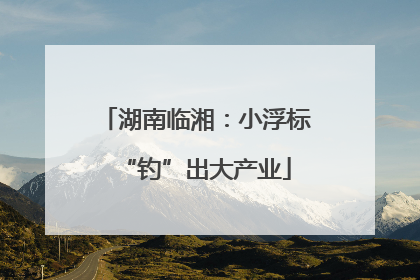 湖南临湘：小浮标“钓”出大产业