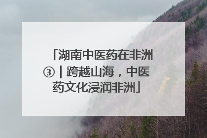 湖南中医药在非洲③｜跨越山海，中医药文化浸润非洲