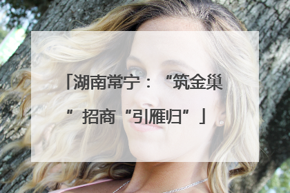 湖南常宁：“筑金巢”招商“引雁归”