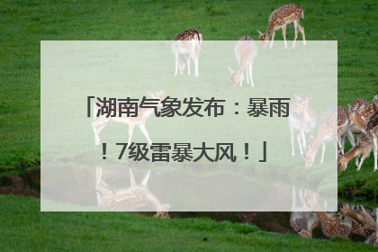 湖南气象发布：暴雨！7级雷暴大风！