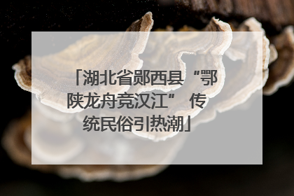 湖北省郧西县“鄂陕龙舟竞汉江” 传统民俗引热潮