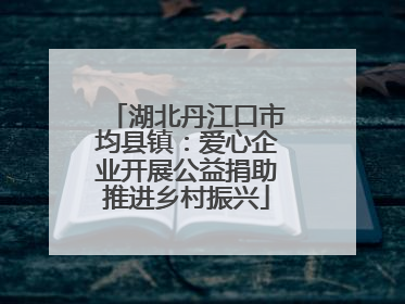 湖北丹江口市均县镇：爱心企业开展公益捐助推进乡村振兴