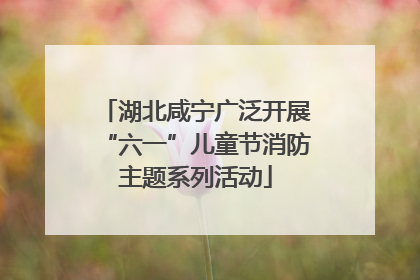 湖北咸宁广泛开展“六一”儿童节消防主题系列活动