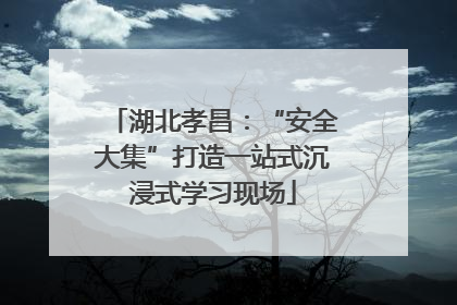 湖北孝昌：“安全大集”打造一站式沉浸式学习现场