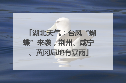 湖北天气：台风“蝴蝶”来袭，荆州、咸宁、黄冈局地有暴雨