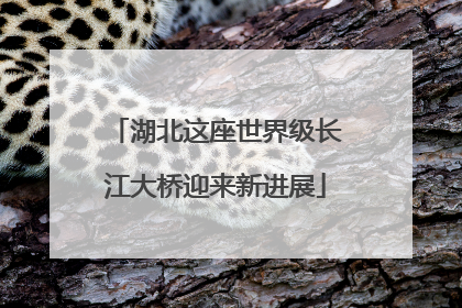 湖北这座世界级长江大桥迎来新进展