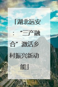 湖北远安：“三产融合”激活乡村振兴新动能
