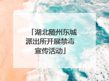 湖北随州东城派出所开展禁毒宣传活动