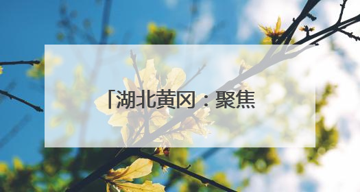 湖北黄冈：聚焦创新与质量 打造三维新模式