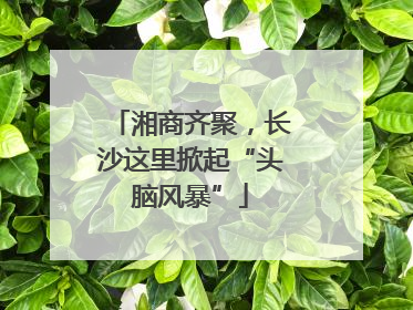 湘商齐聚，长沙这里掀起“头脑风暴”