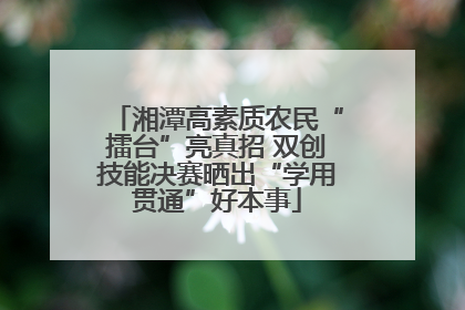 湘潭高素质农民“擂台”亮真招 双创技能决赛晒出“学用贯通”好本事