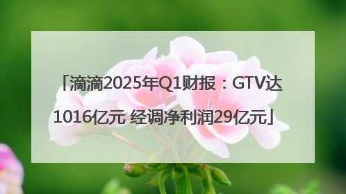 滴滴2025年Q1财报：GTV达1016亿元 经调净利润29亿元