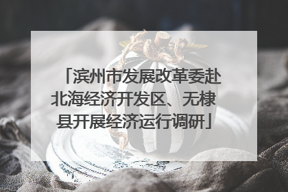 滨州市发展改革委赴北海经济开发区、无棣县开展经济运行调研