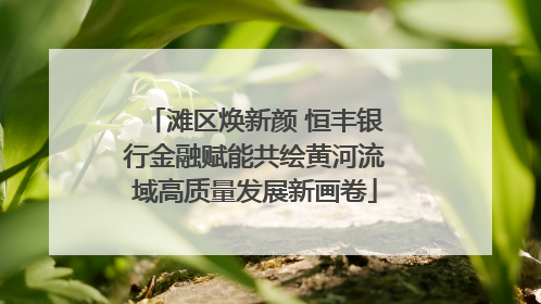 滩区焕新颜 恒丰银行金融赋能共绘黄河流域高质量发展新画卷