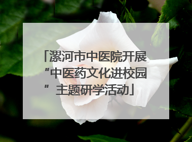漯河市中医院开展“中医药文化进校园”主题研学活动