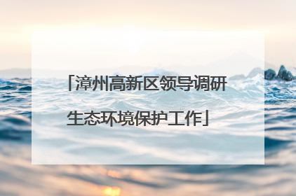 漳州高新区领导调研生态环境保护工作