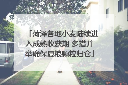 菏泽各地小麦陆续进入成熟收获期 多措并举确保夏粮颗粒归仓