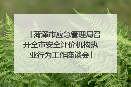 菏泽市应急管理局召开全市安全评价机构执业行为工作座谈会