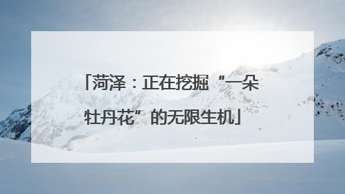 菏泽：正在挖掘“一朵牡丹花”的无限生机
