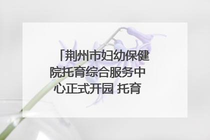 荆州市妇幼保健院托育综合服务中心正式开园 托育宣传月同步启动