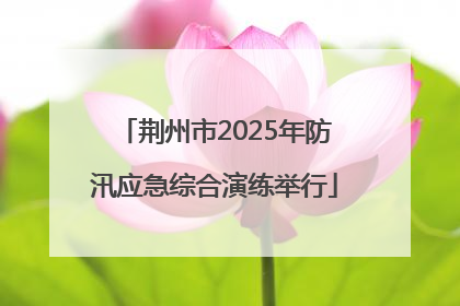 荆州市2025年防汛应急综合演练举行
