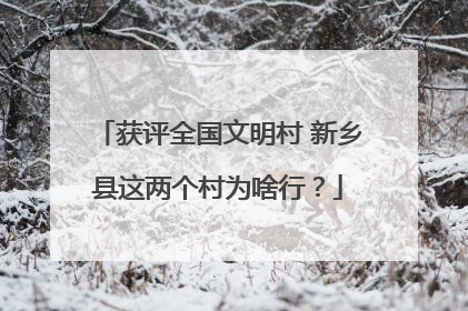获评全国文明村 新乡县这两个村为啥行？