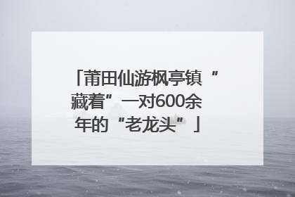 莆田仙游枫亭镇“藏着”一对600余年的“老龙头”