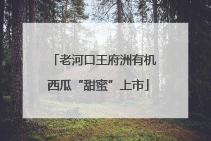 老河口王府洲有机西瓜“甜蜜”上市