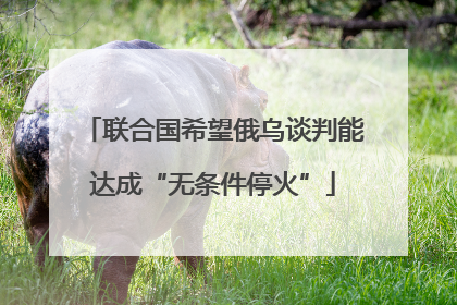联合国希望俄乌谈判能达成“无条件停火”