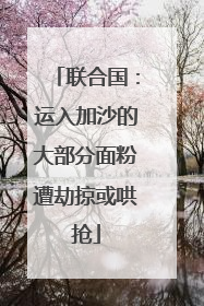 联合国：运入加沙的大部分面粉遭劫掠或哄抢