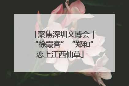 聚焦深圳文博会｜“徐霞客”“郑和”恋上江西仙草