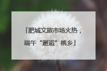 肥城文旅市场火热，端午“邂逅”桃乡