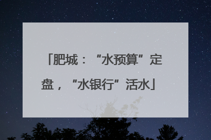 肥城：“水预算”定盘，“水银行”活水