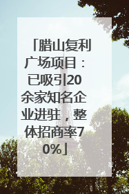腊山复利广场项目：已吸引20余家知名企业进驻，整体招商率70%