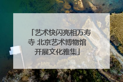 艺术快闪亮相万寿寺 北京艺术博物馆开展文化雅集