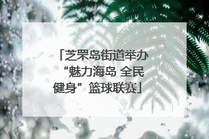 芝罘岛街道举办“魅力海岛 全民健身”篮球联赛