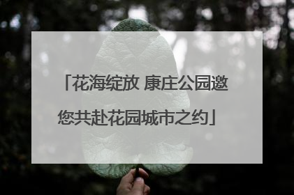 花海绽放 康庄公园邀您共赴花园城市之约