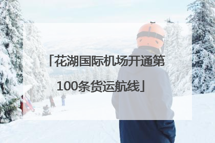 花湖国际机场开通第100条货运航线