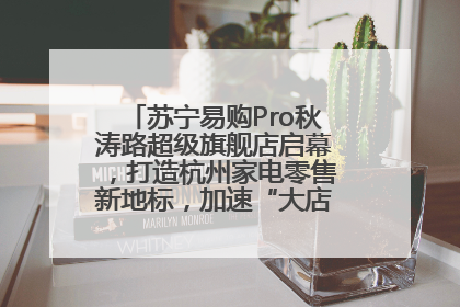 苏宁易购Pro秋涛路超级旗舰店启幕，打造杭州家电零售新地标，加速“大店攻略”全省布局