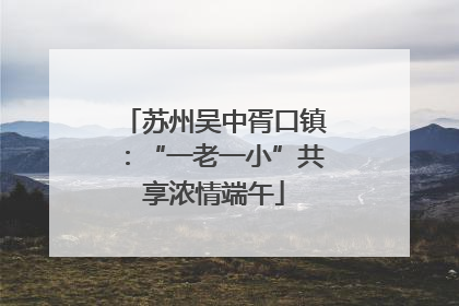 苏州吴中胥口镇：“一老一小”共享浓情端午