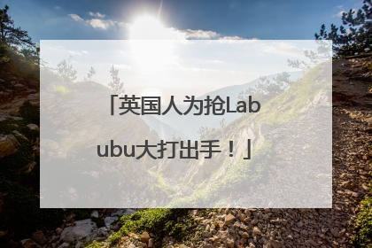 英国人为抢Labubu大打出手！