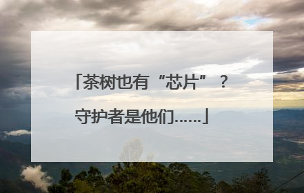 茶树也有“芯片”？守护者是他们……