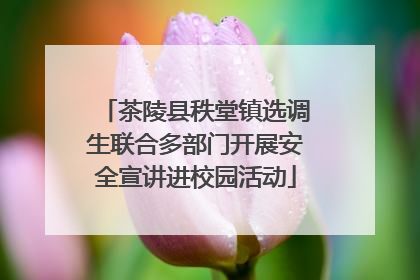 茶陵县秩堂镇选调生联合多部门开展安全宣讲进校园活动